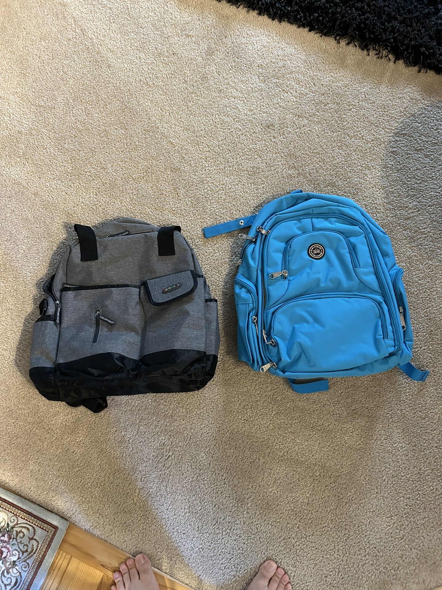 2 New Bag Packs (Back to School) $30 for both of them !