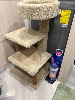 Cat bed