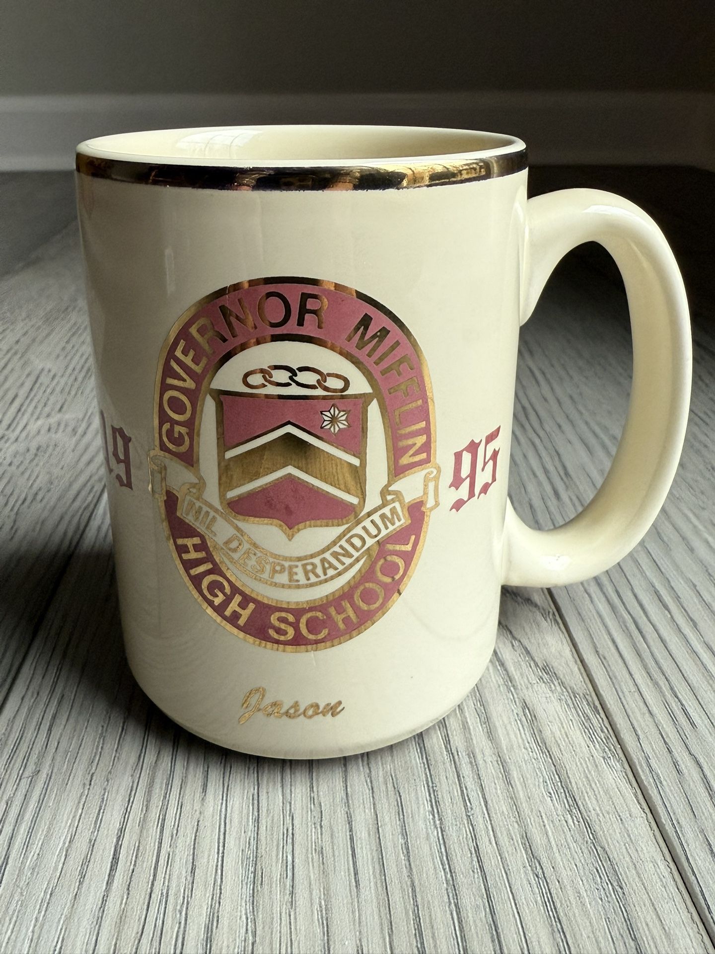 Vintage Governor Mifflin Class Of 1995 Mug