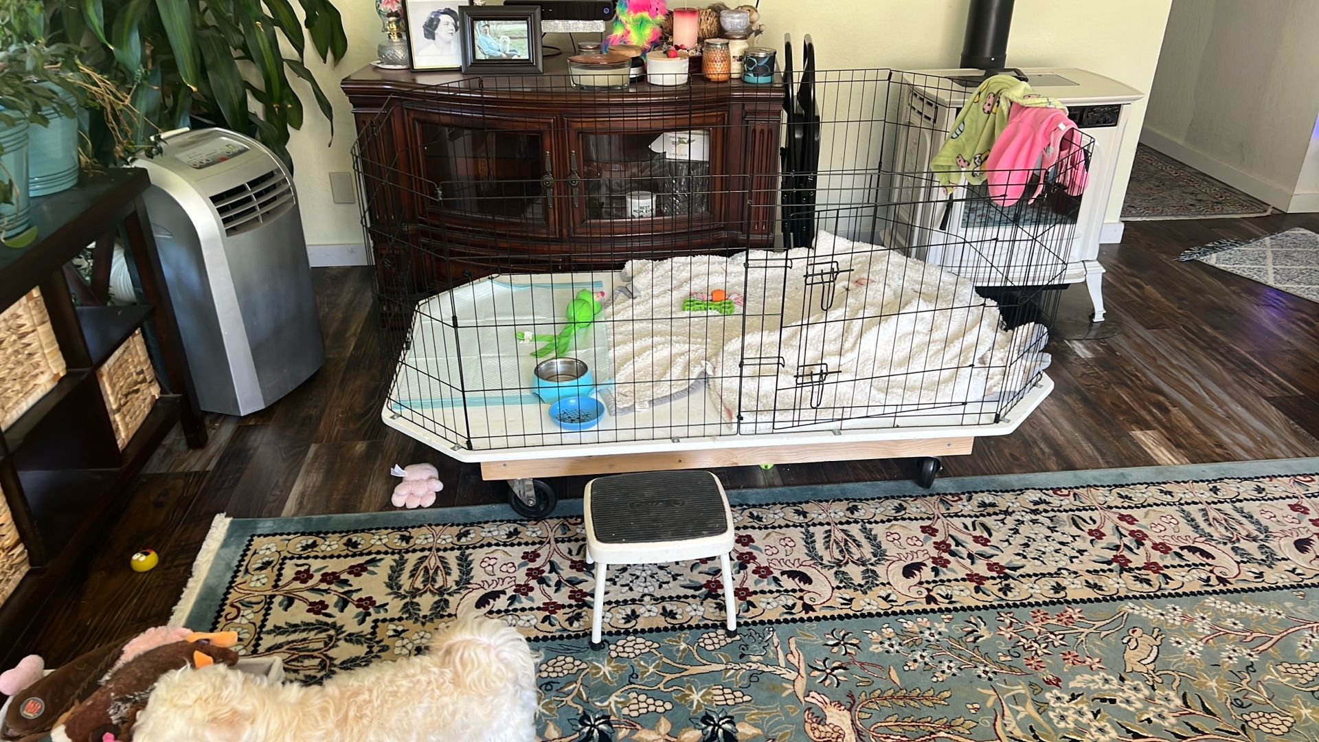 Inside Dog Kennel On Wheels