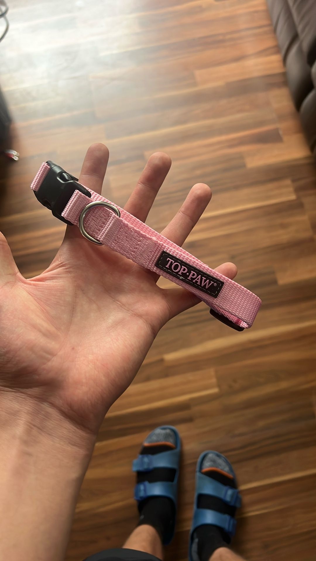 Pink Dog Collar