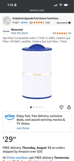 Spa filter hot tube filter