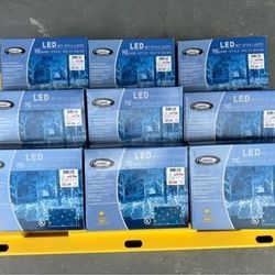 LED Multi-colored net-style lights.