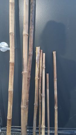Mamboo Sticks