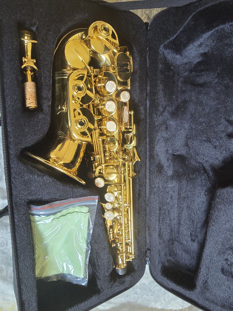 Professional Saxophone Curved 