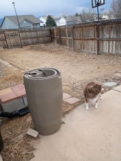 Rain Barrel 