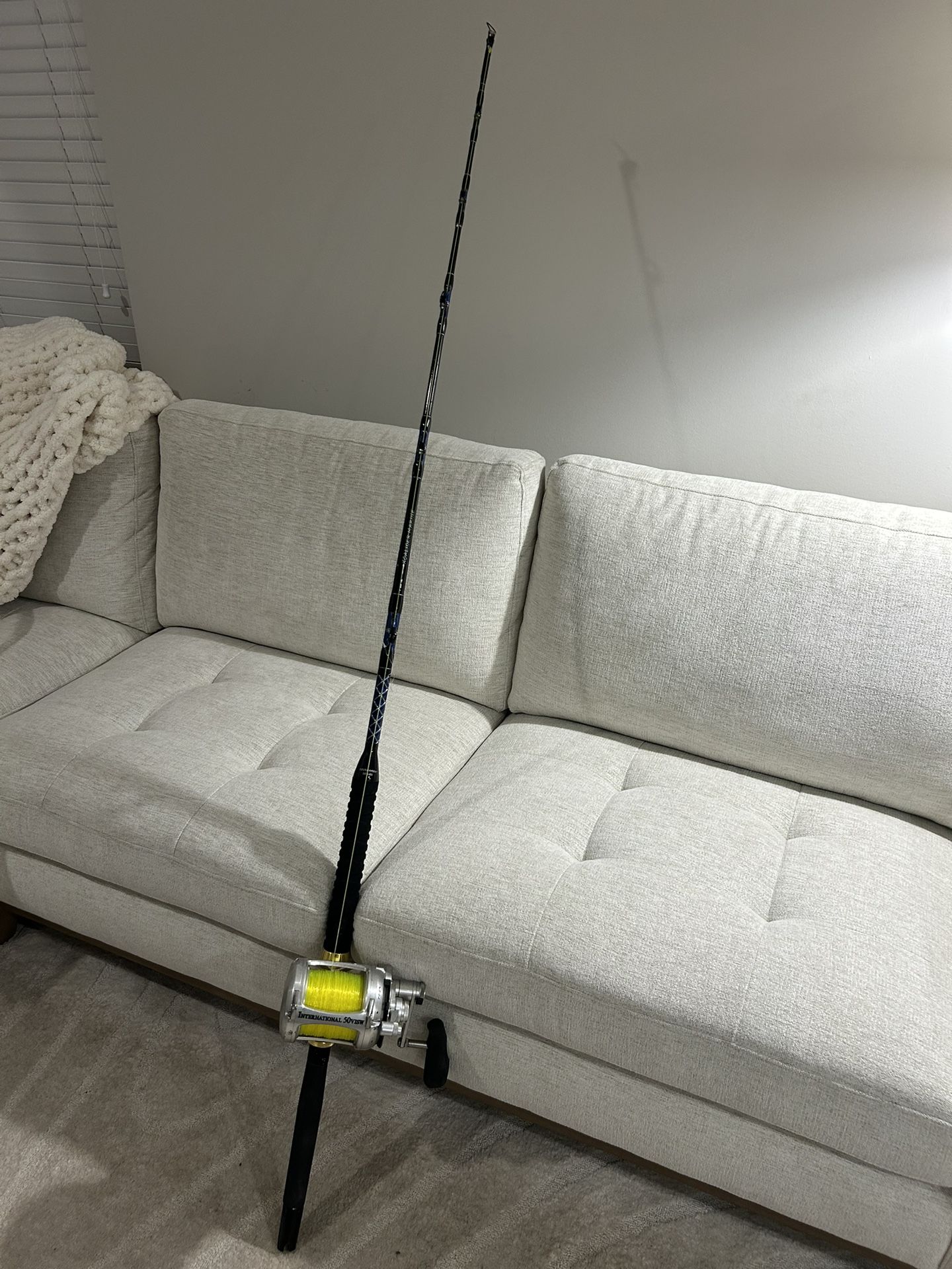 International 50visw fishing rod