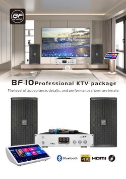 BF-10 Pro Karaoke KTV Package - Free Houston Install