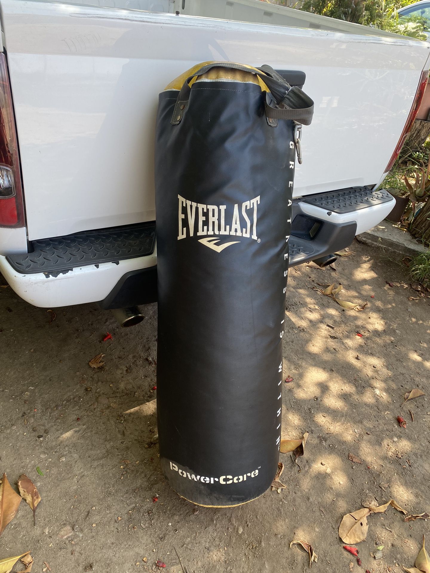 Everlast Punching Bag