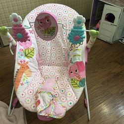 Baby Bouncer