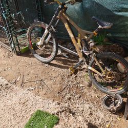 Specialized Down Hill 