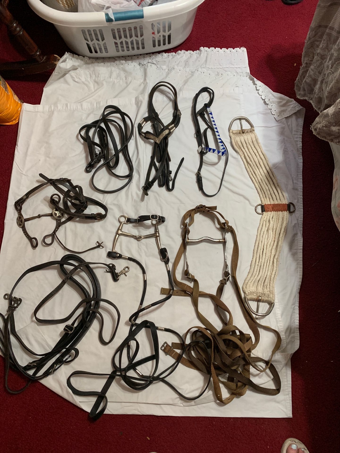 Gently used Horse tack lot for Sale in Allentown, PA OfferUp