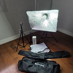 Mount Dog Lighting Kit