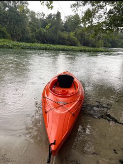 Kayak