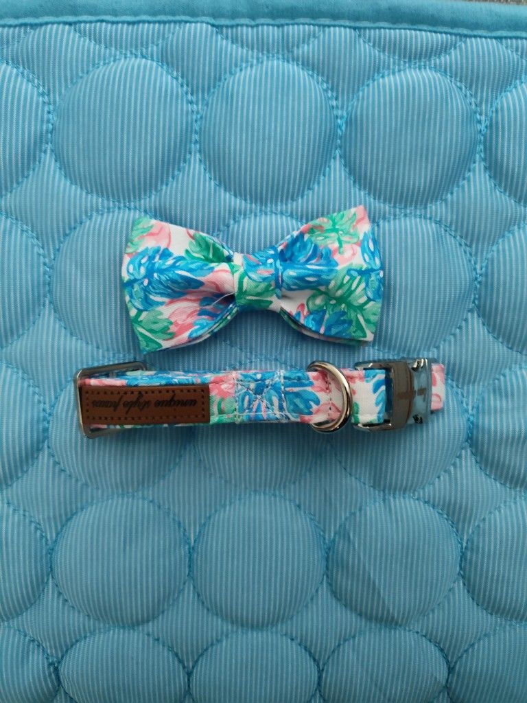 Banana Republic Floral Dog Collar with Bow - Blue and Pink