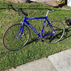 Specialized