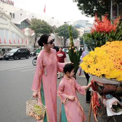 Ao Dai Vietnamese Dress