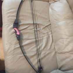 Bow And Arrows 