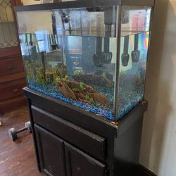 Fish Tank 