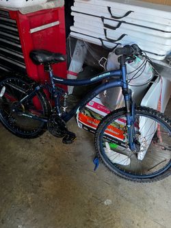 24”genesis mountain bike