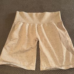 Nvgtn Shorts