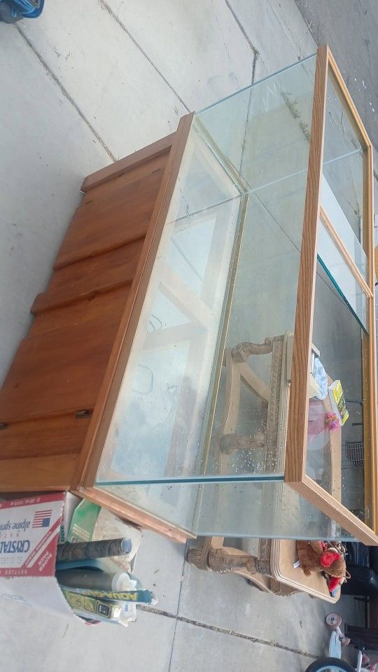 fishtank