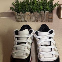 Jordan 11 retro concords