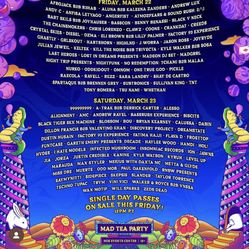 Beyond Wonderland 