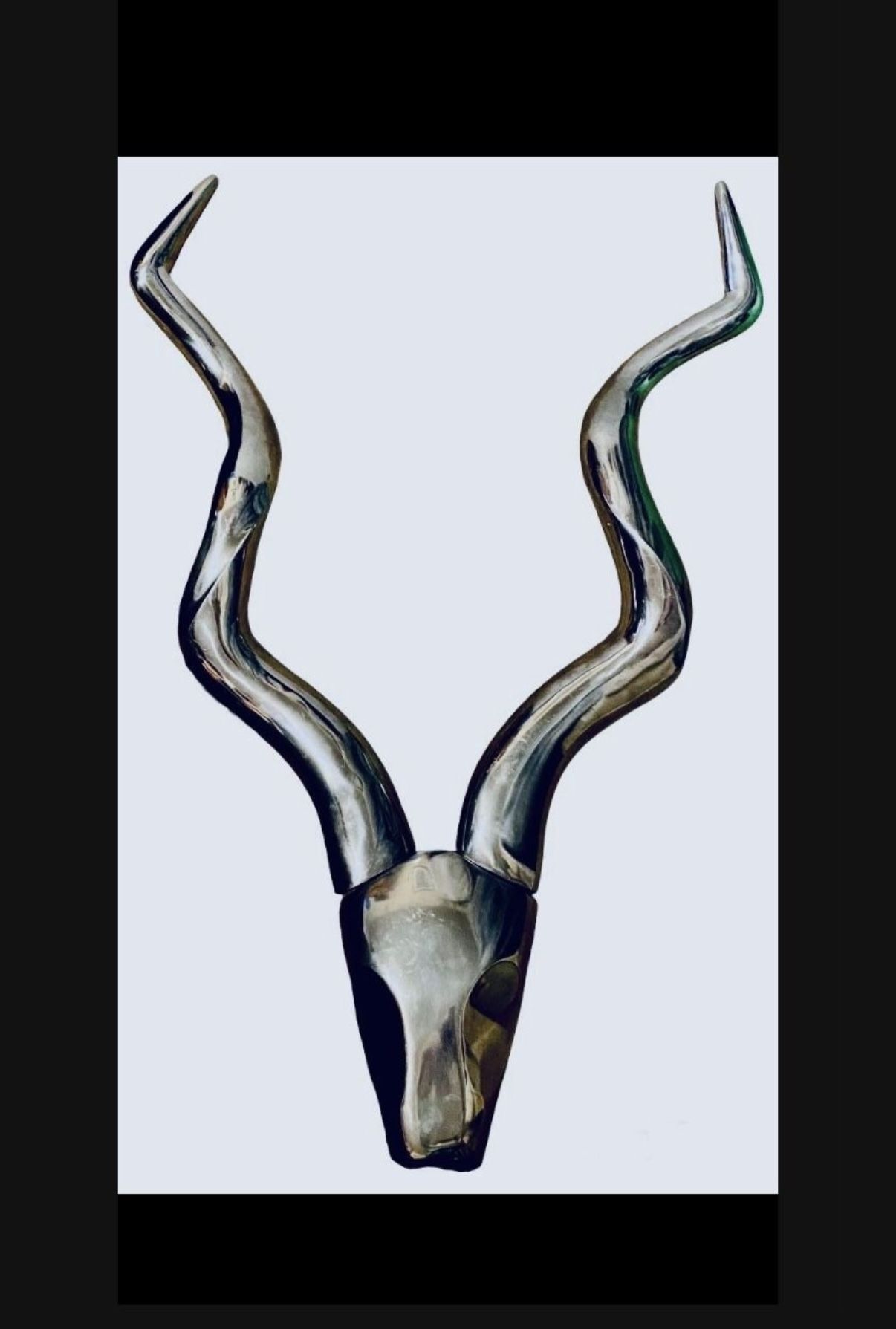 Horns Wall Sculpture Head Curve 46" Art