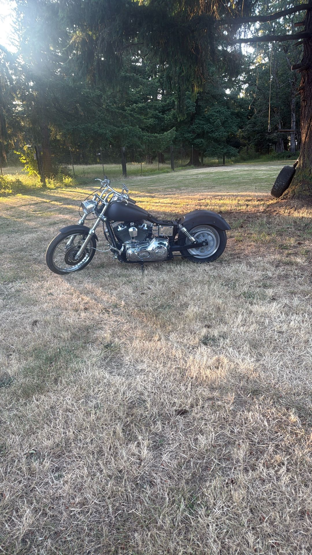 2002 Harley Wide glide