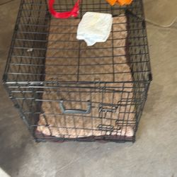 30x19x21 large foldable dog kennel with dog diapers, leash and probiotics Pickup today only 6/8