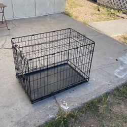 Dog Cage 30-21-19