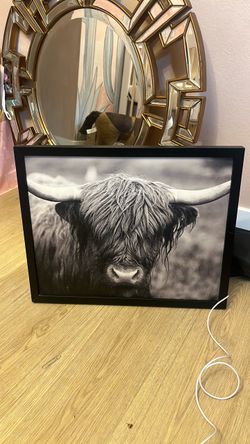 Cow picture for Sale