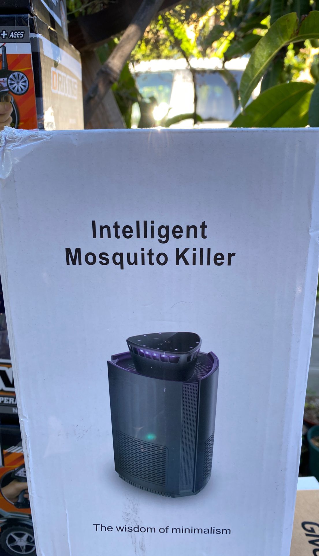 Mosquito killer light