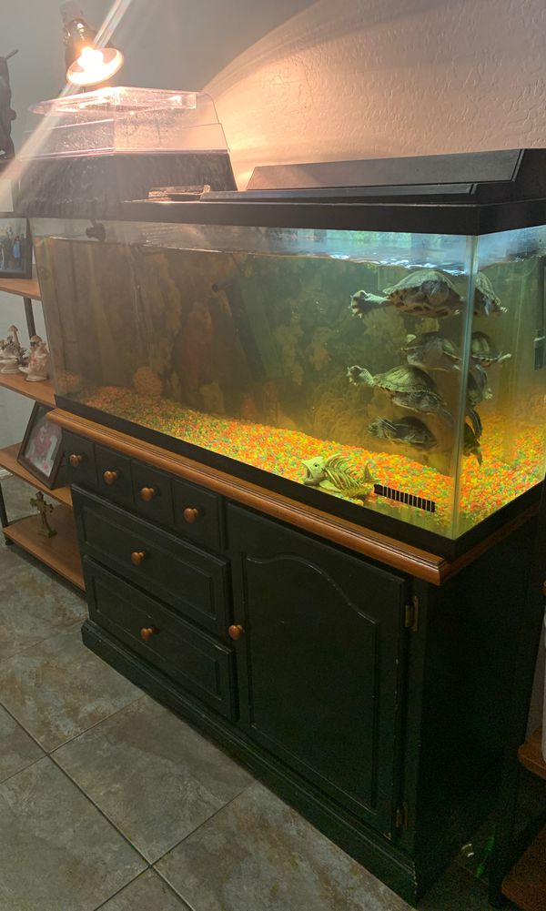 Turtle tank with stand 55 gallon / fish tank for Sale in
