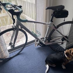 Women’s Road Bike Bianchi Nirone 7 Dana Bianca Sora -46cm 