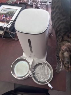 Cat feeder