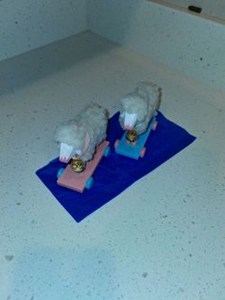 Little sheeps