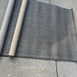 Indoor Outdoor Rugs