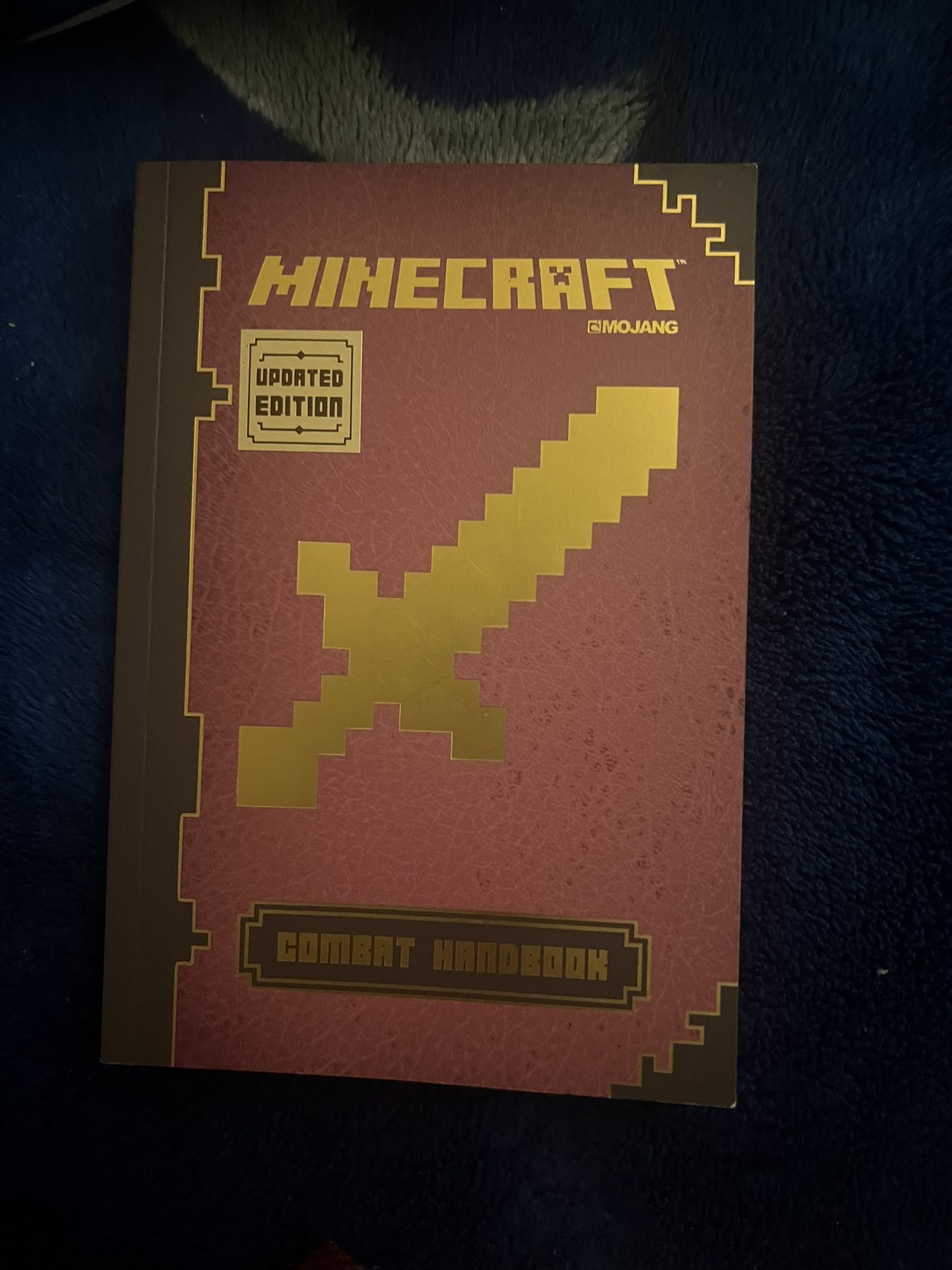 Minecraft Books From Early 2010s