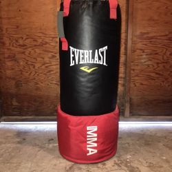 Everlast Heavy Bag