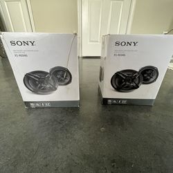 Sony Door Speakers 