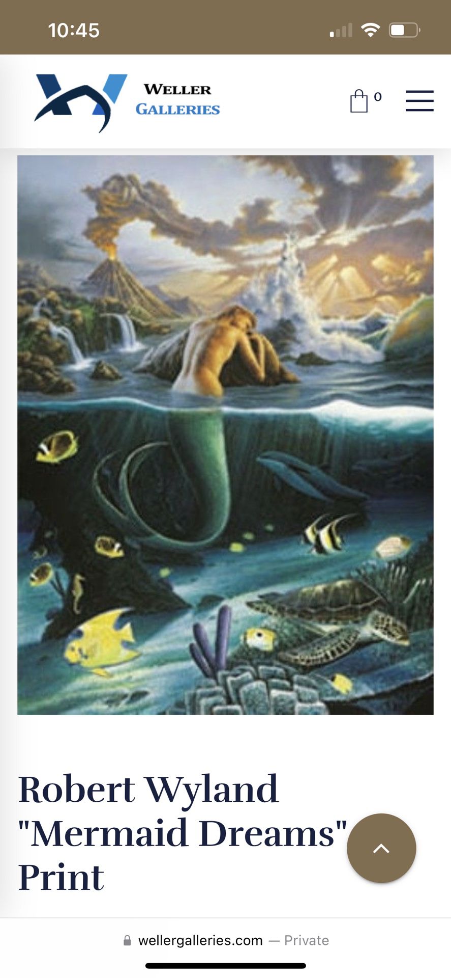 Mermaid Dreams By Wyland And Jim Warren