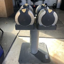 2 Gold’s Gym Adjustable Dumbbells 10-50 Pounds Comes With Stand $300