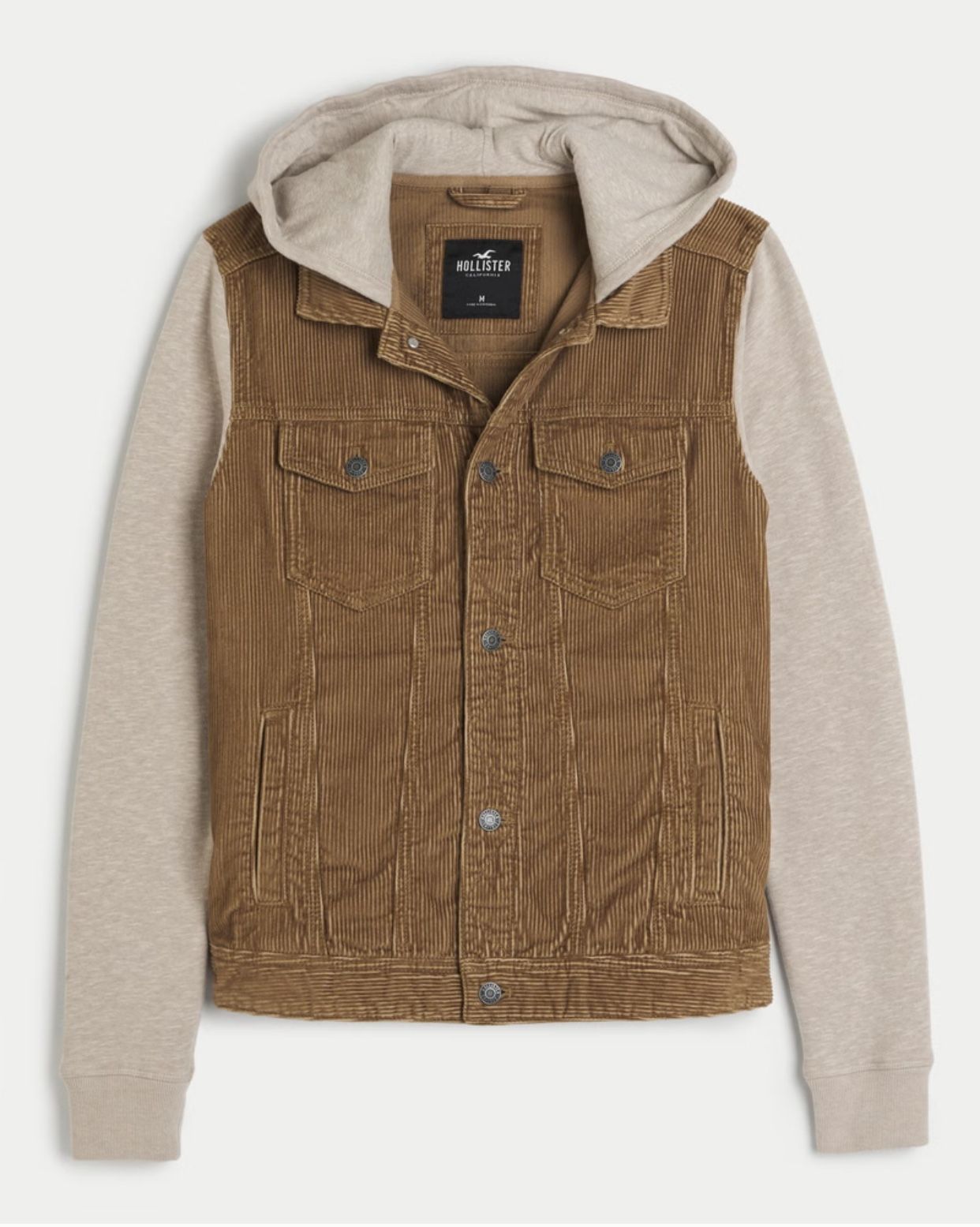 Hollister Men’s Jacket