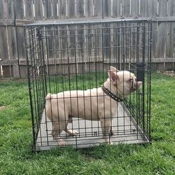 LARGE DOG CRATE