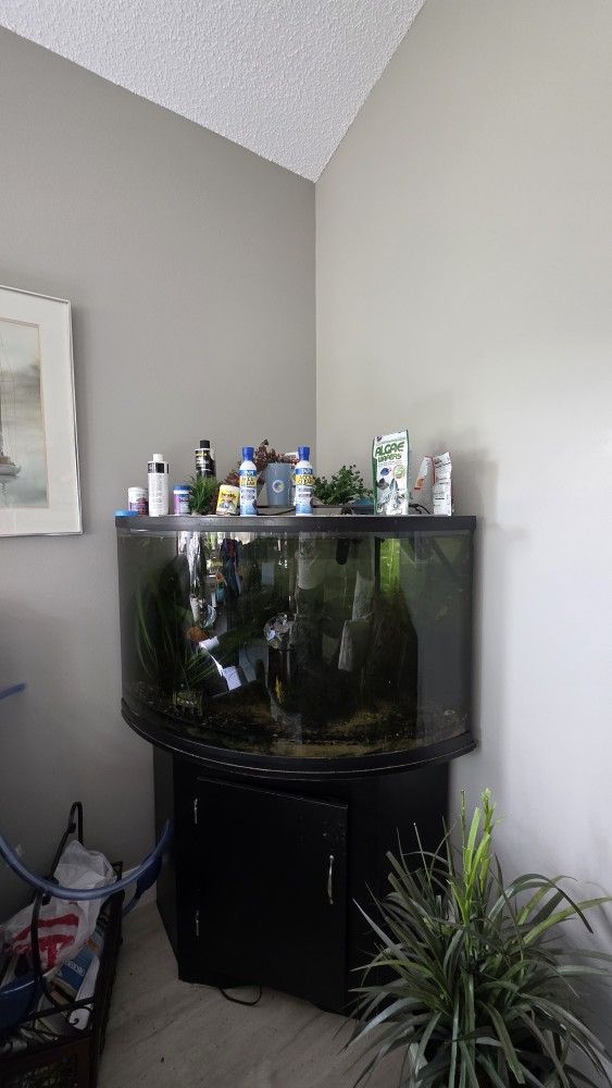 45 GALLON FISH TANK