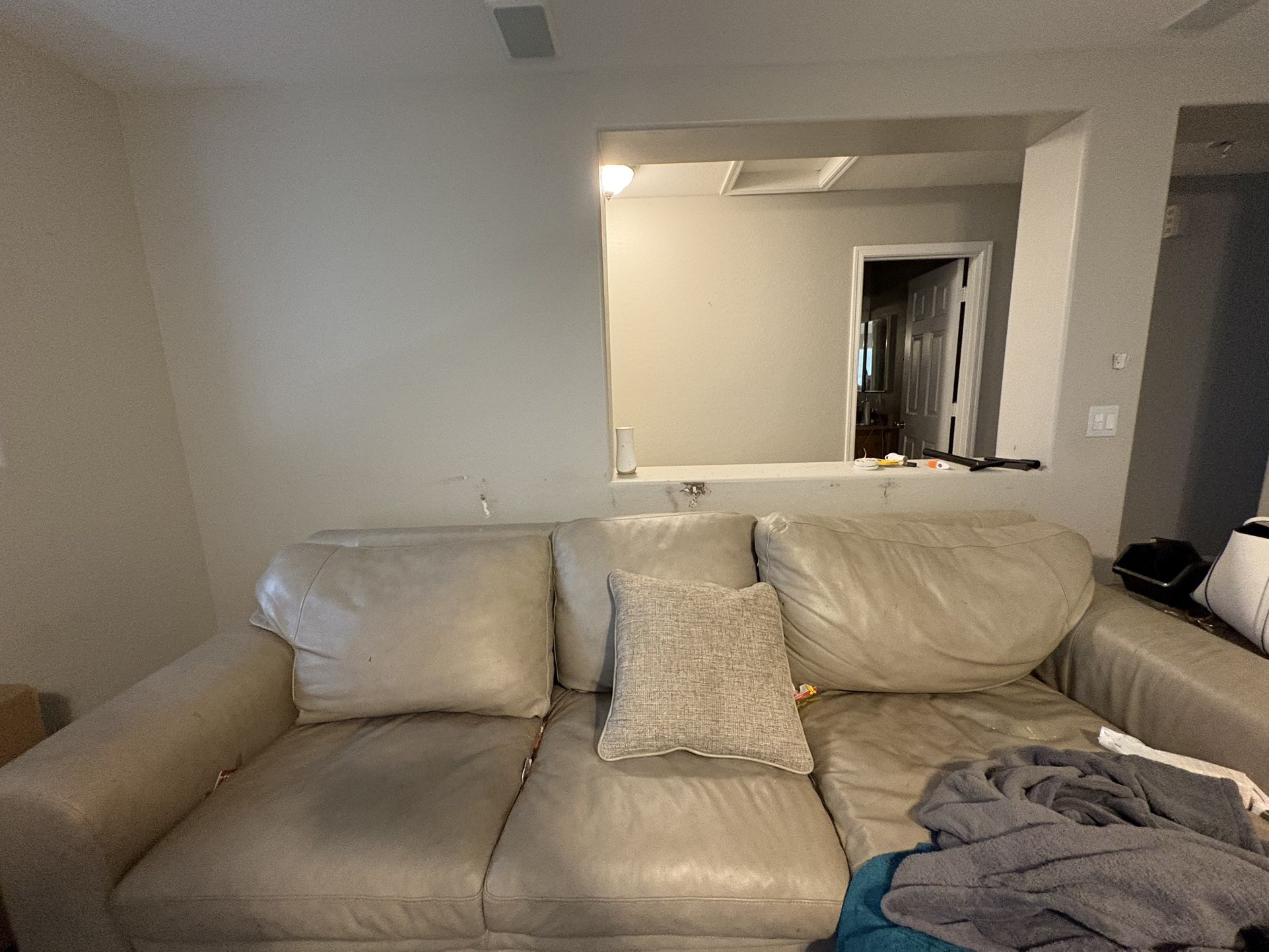 Leather Couch