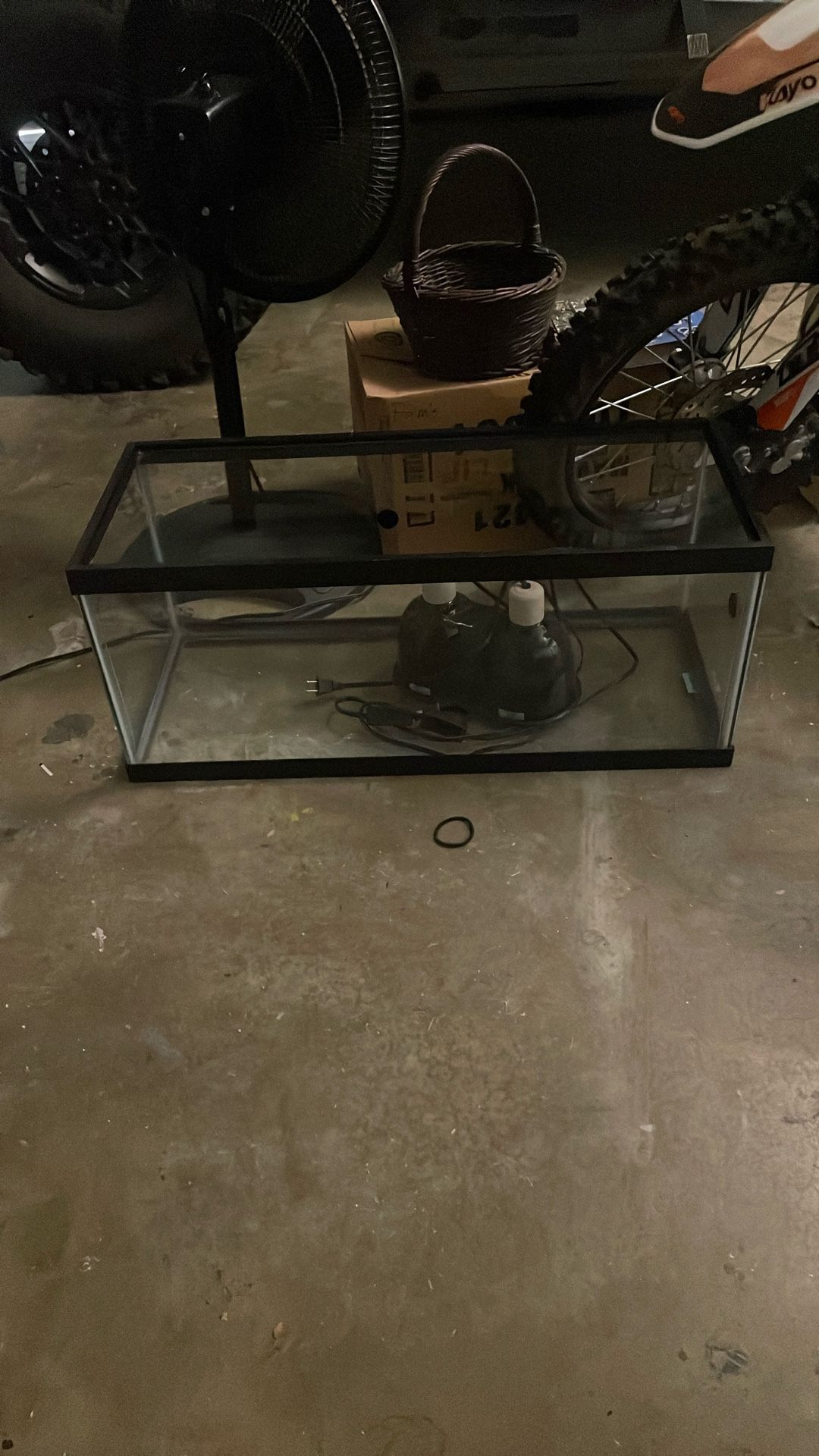 lizard tank