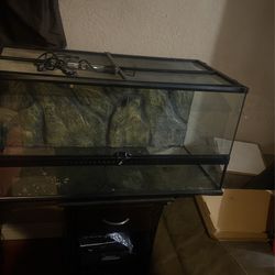 Reptile Tank
